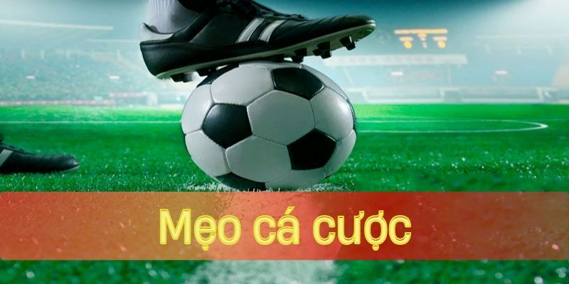 Mẹo chơi cá cược là gì?